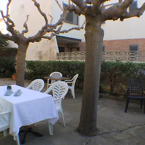 Agi La Pinta Rosas